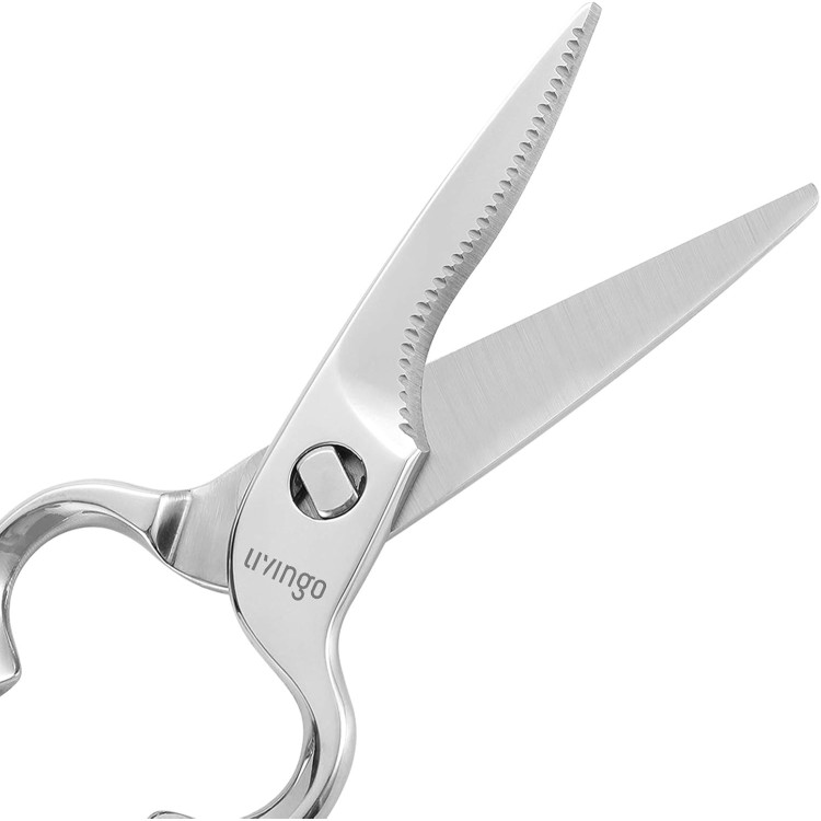 LIVINGO Kitchen Forged Shears Heavy Duty Come Apart Ultra Sharp Multi-function Stainless Steel Scissors Bottle Opener, Nut Cracker 8.5 inch